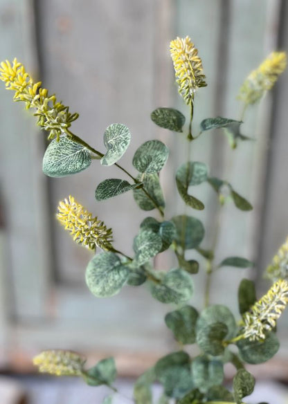 Yarrow Bud Stem - Yellow
