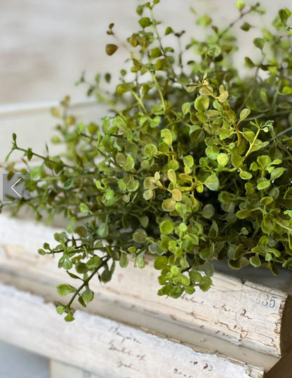 Baby's Grass Half Sphere 6"