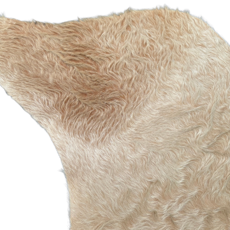 Close-up of a beige fur rug with a soft texture on a white background