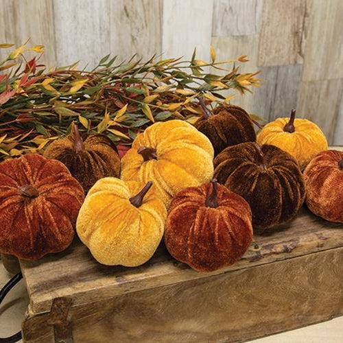 Velvet Harvest Pumpkins