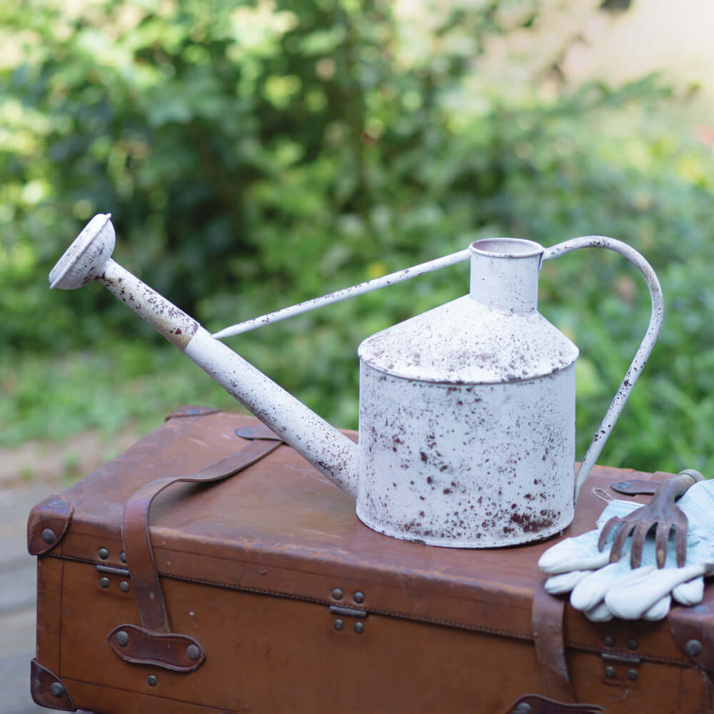Vintage Style Watering Can