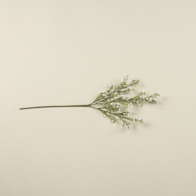 Single branch of greenery with small white flowers 