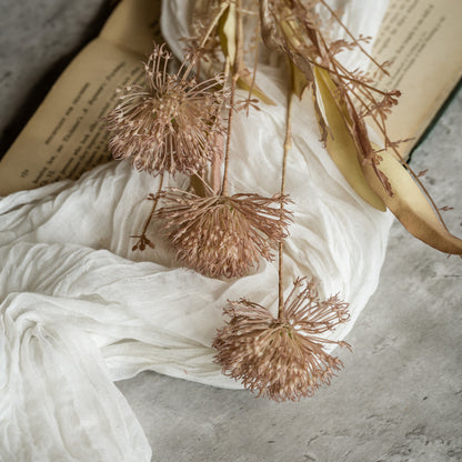 wild flower stem