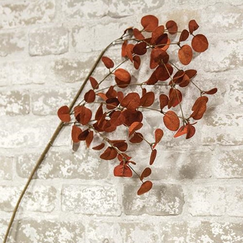 A Penny Leaf Spray with red leaves and green stems against a white brick wall background.