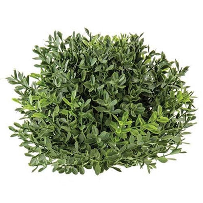 New England Boxwood Half Sphere 8.5